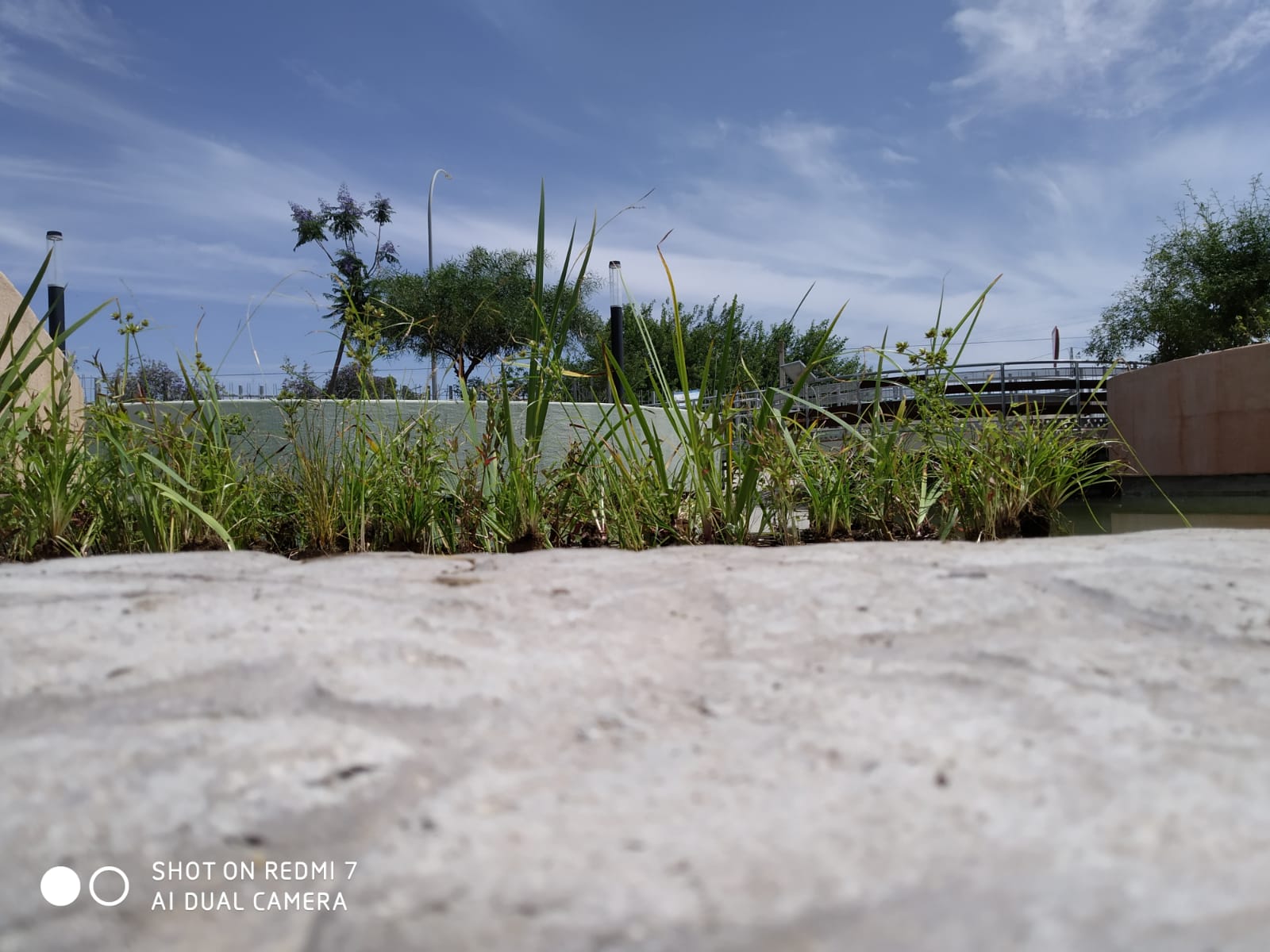 WhatsApp Image 2020-06-10 at 13.23.58