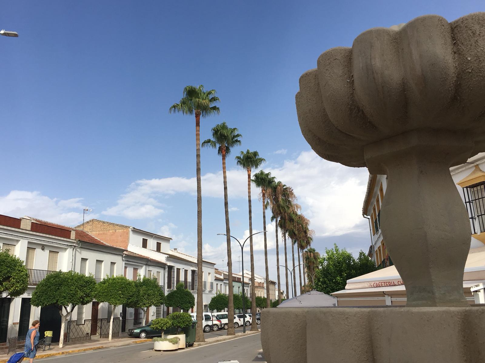 WhatsApp Image 2020-07-21 at 09.59.30