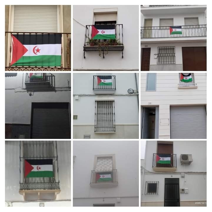 WhatsApp Image 2020-12-14 at 12.16.50 (4)