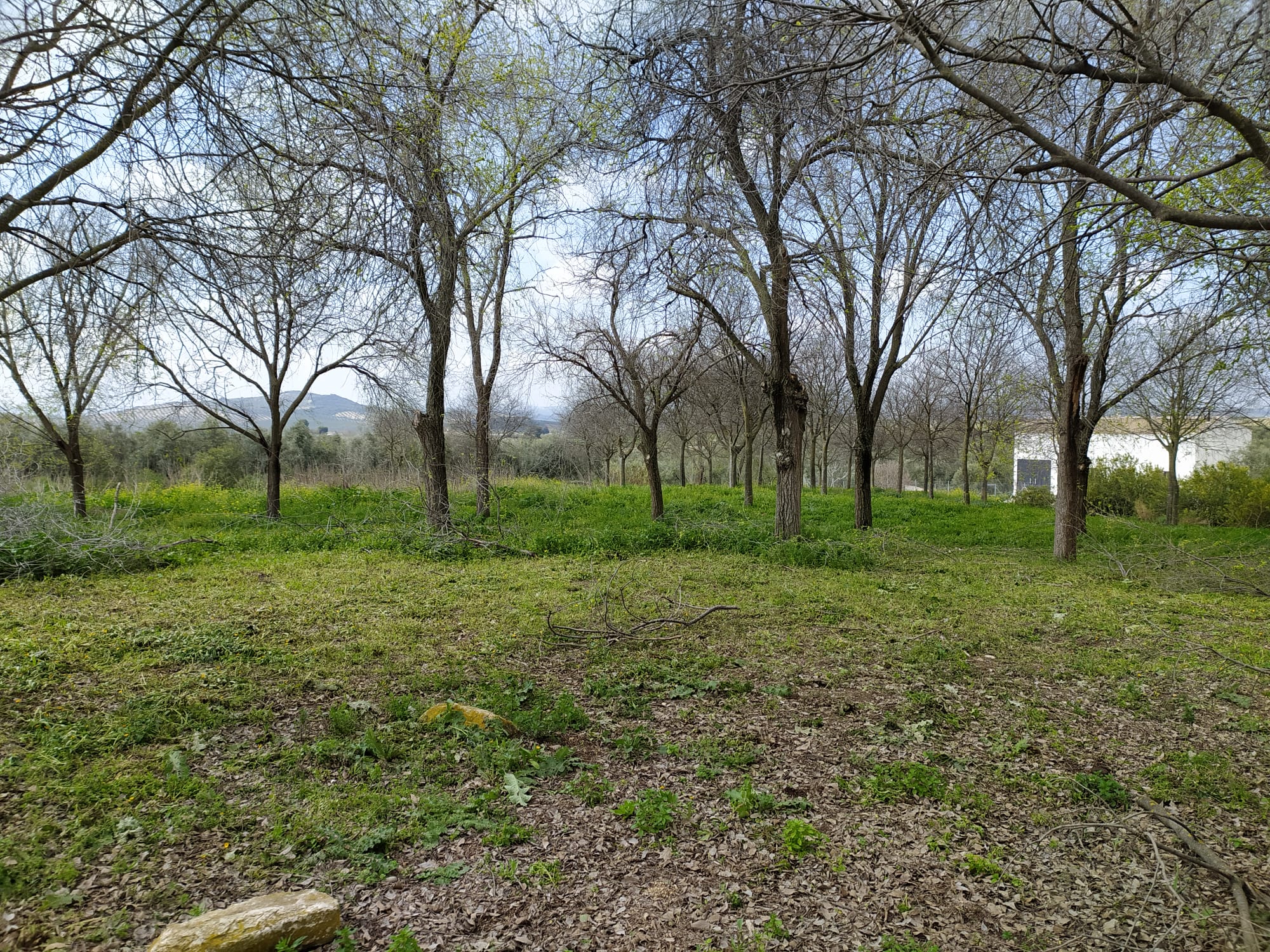 WhatsApp Image 2021-03-09 at 12.07.20