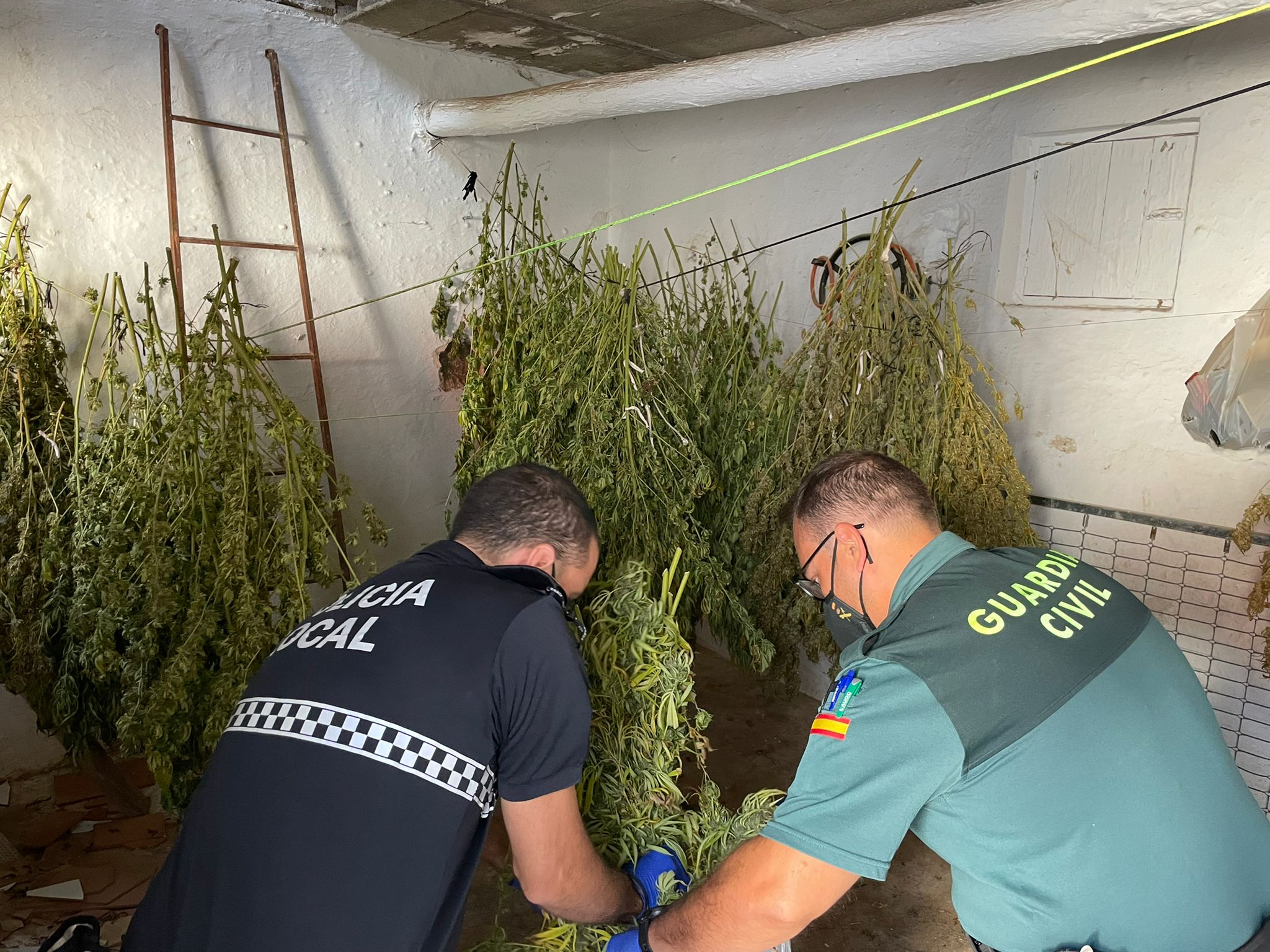 WhatsApp Image 2021-09-27 at 16.20.17