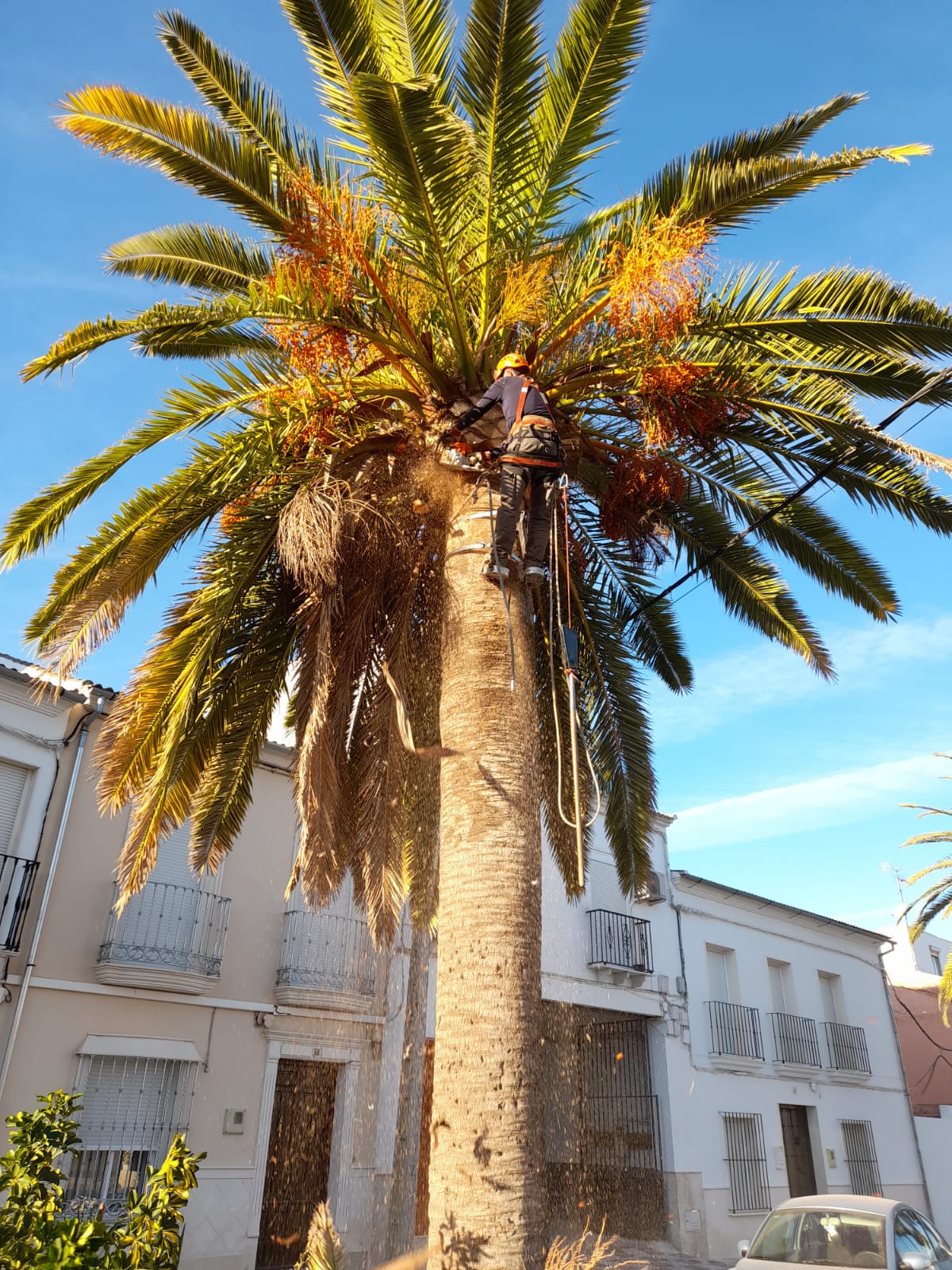 WhatsApp Image 2021-10-20 at 10.22.03