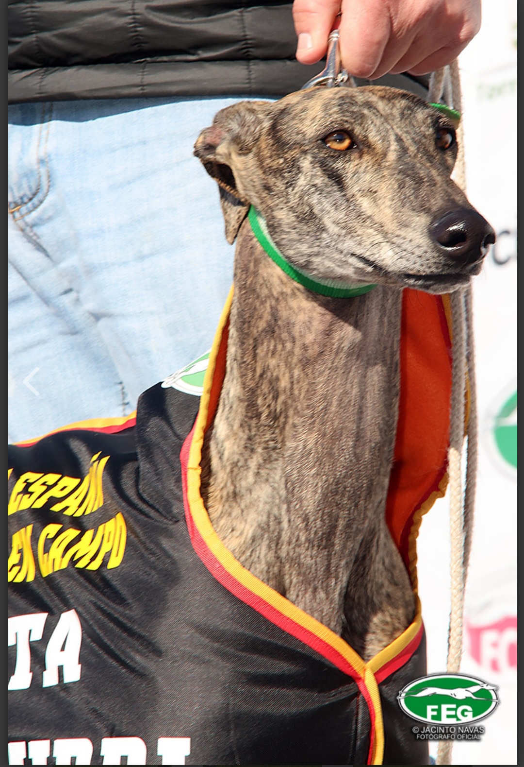 WhatsApp Image 2023-02-03 at 10.36.46 (1)