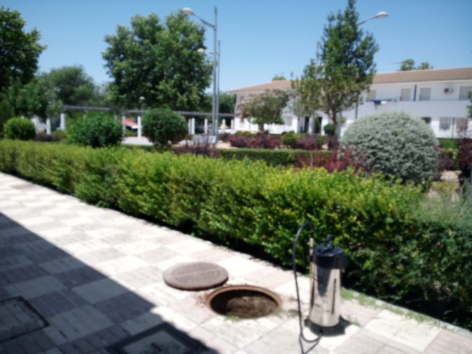 WhatsApp Image 2023-06-29 at 09.44.36 (1)