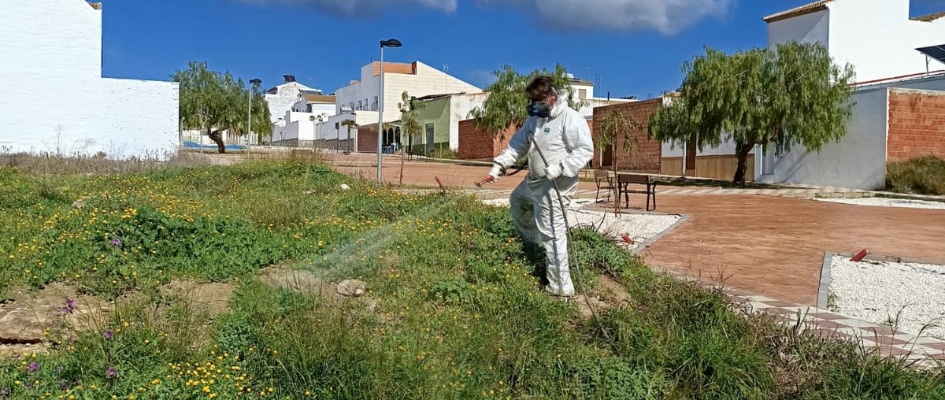 WhatsApp Image 2025-02-05 at 12.03.32 (1)