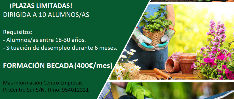 10 CARTEL LINEA 3 PEAE - 2