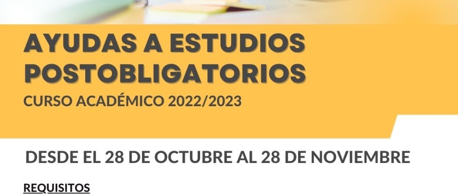 Royal Blue Modern University Scholarship Program Instagram Post (1)