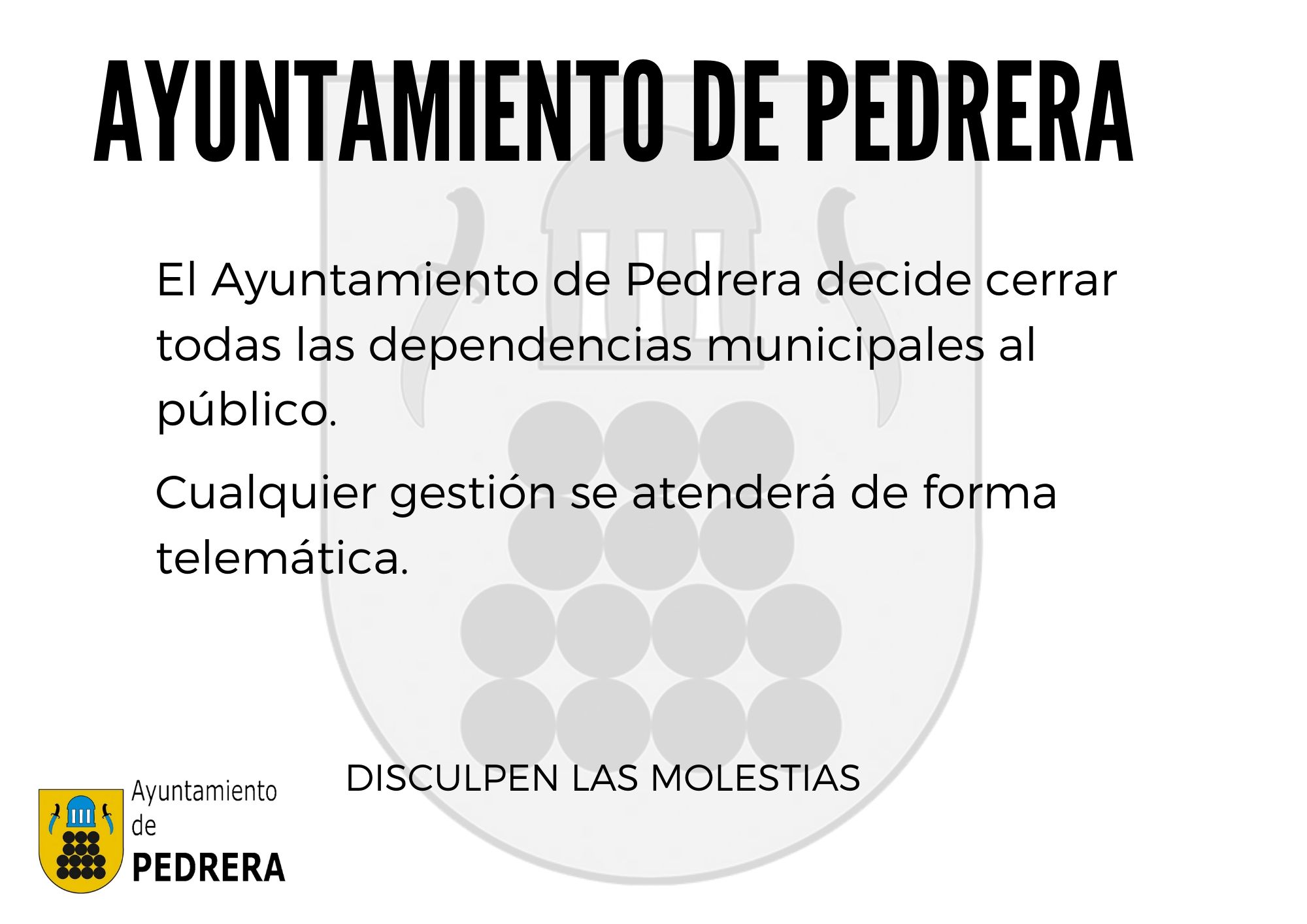 ayuntamiento de pedrera (2)