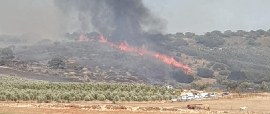 121777414_3383584981762110_6963905060803511982_n