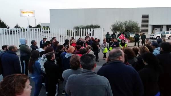 55807338_2117843198336301_1261345398488825856_n