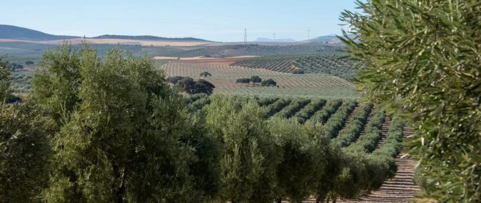 668782697_10237669845158155_4811722460251950712_n